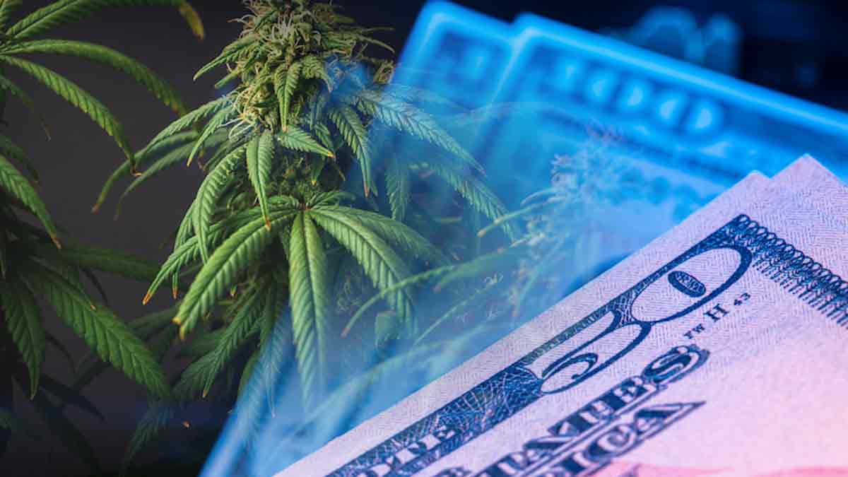 Cannabis Stocks to Watch in 2025: Top Companies and Trading Strategies to Consider