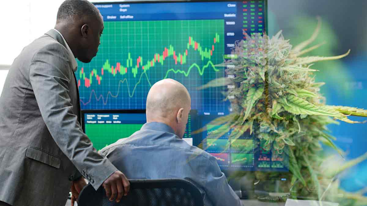 Cannabis Stocks To Watch Q3 2025