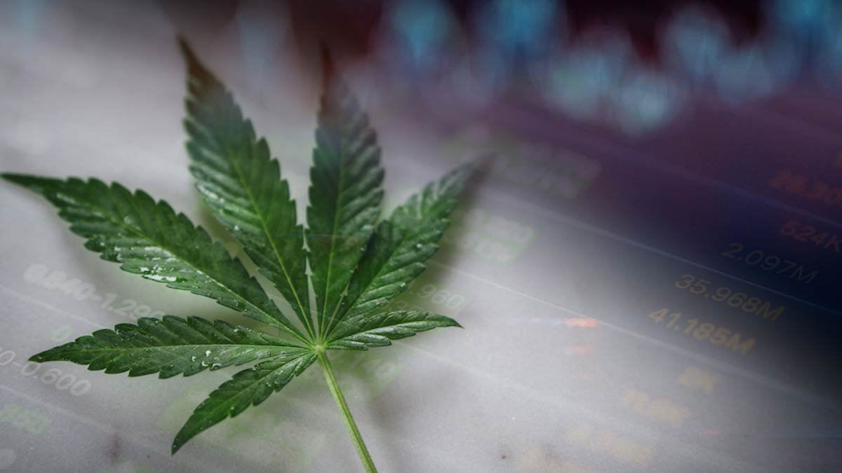 Top Cannabis Stocks to Consider in May 2025