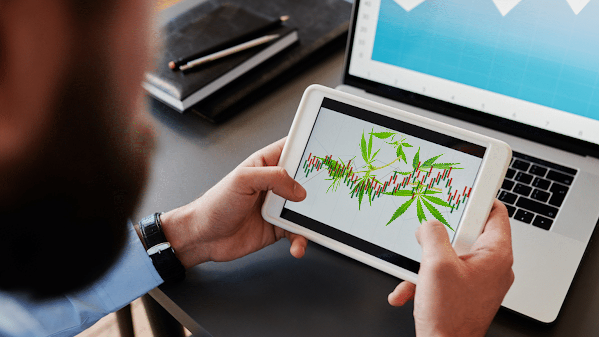 The Best Marijuana Stocks To Watch 2025
