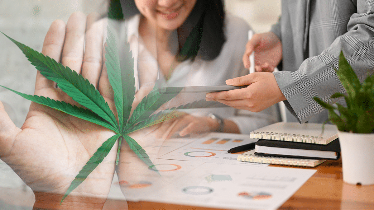 Are Cannabis REITs A Buy In February? 3 On Watch Long Term