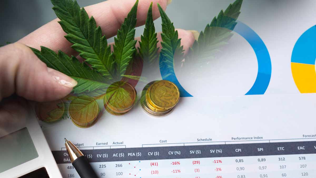 Top US Marijuana Penny StocCannabis Industry Focus: Marijuana Stocks to Watch This Week