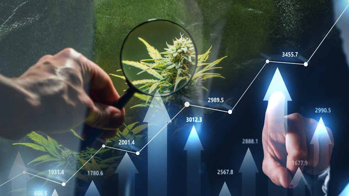 https://marijuanastocks.com/top-u-s-cannabis-stocks-flourishing-in-the-last-six-months/
