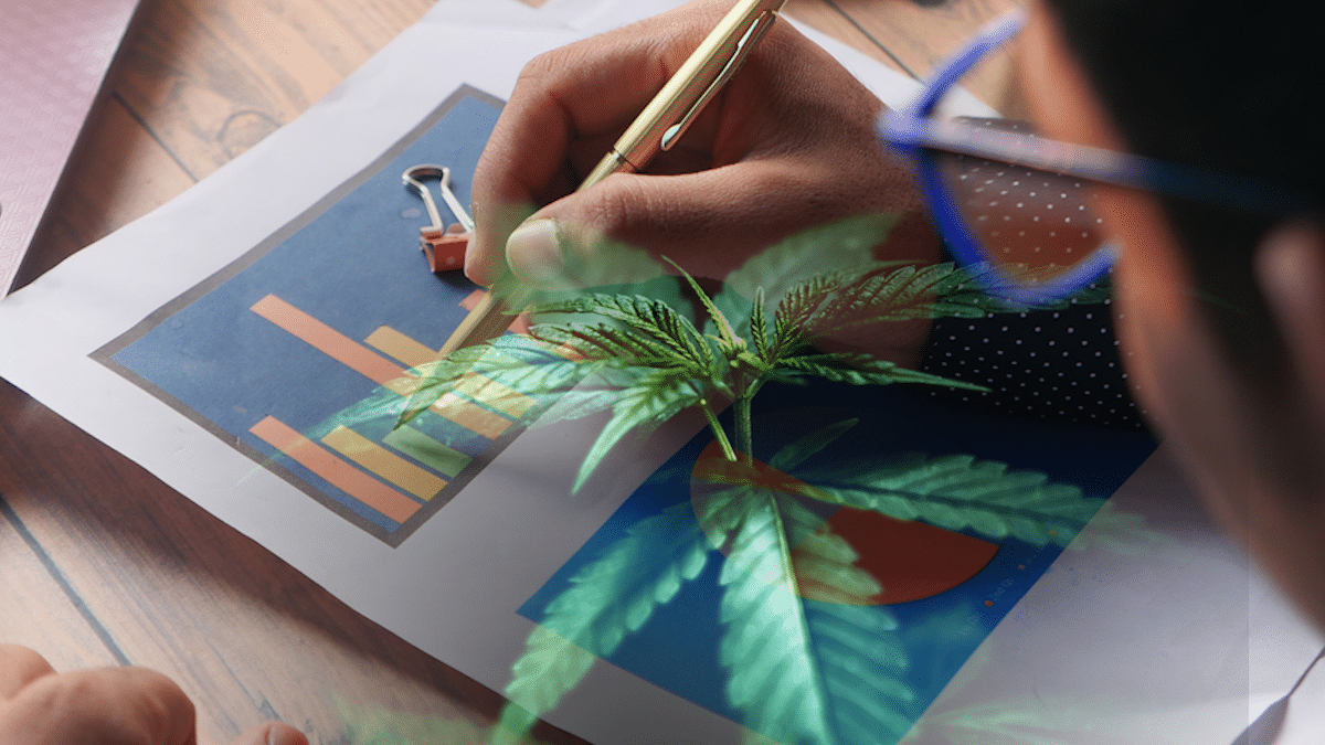 Best Canadian Marijuana Stocks for U.S. Market Exposure