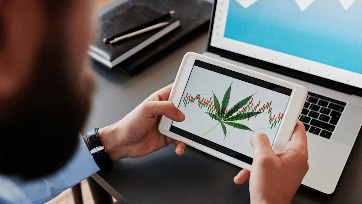 Investing in Green: Top U.S. Marijuana Stocks for May 2025