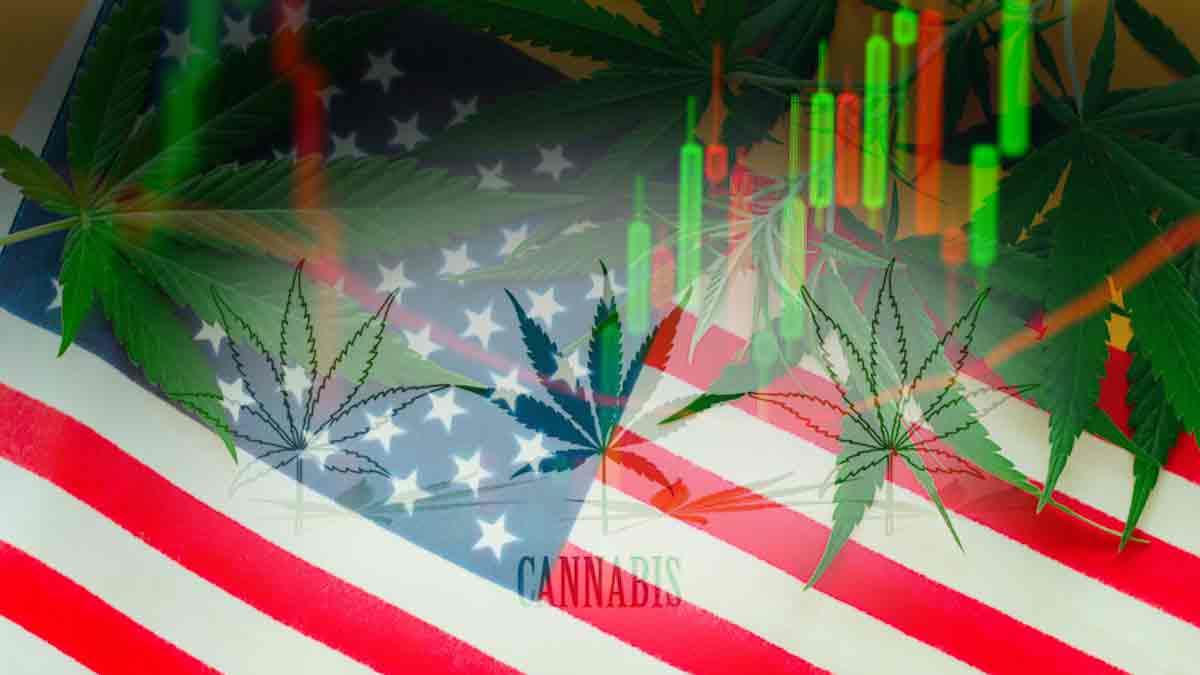 Top MSO Marijuana Stocks to Watch This Memorial Day Weekend