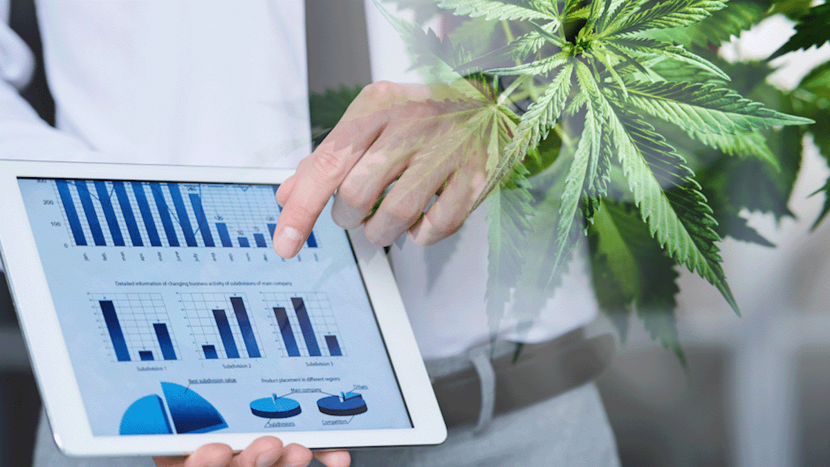 Top Ancillary Cannabis Stocks to Watch Before 2025