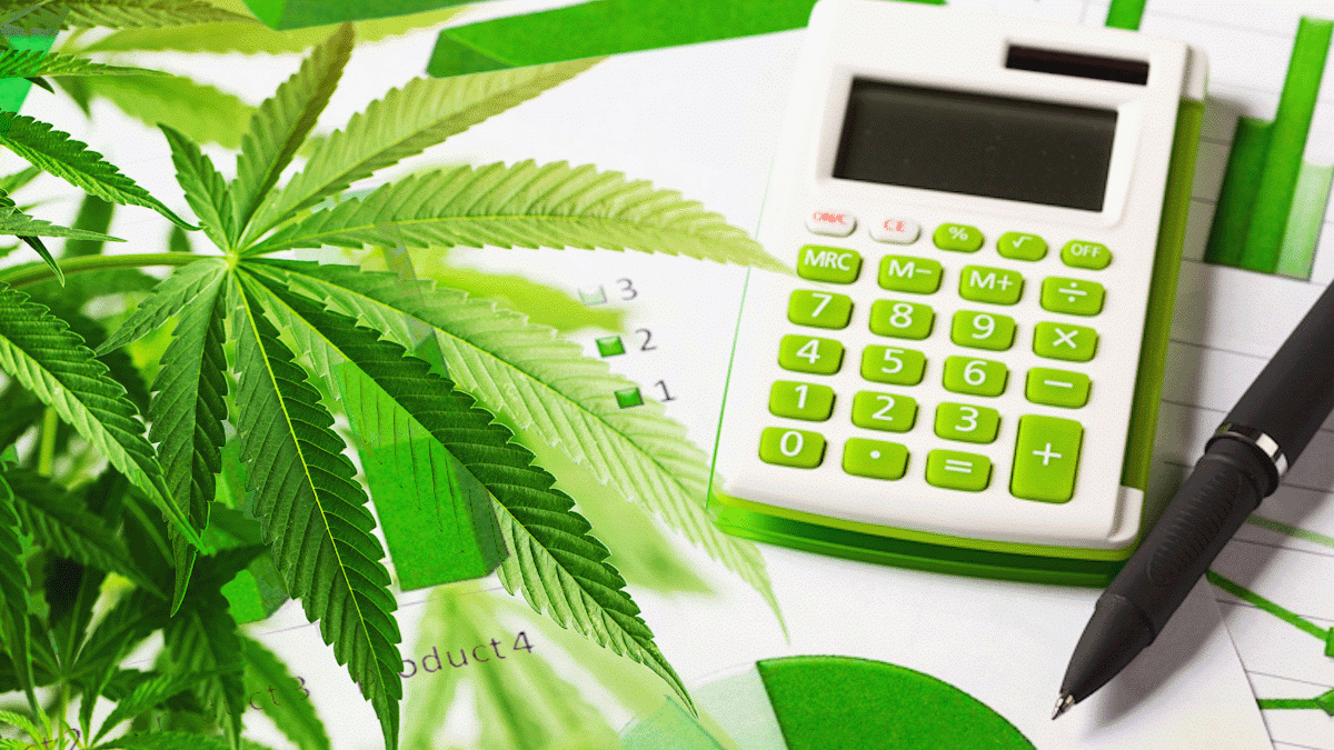 June 2024 Watchlist: Top Canadian Cannabis Stocks to Watch