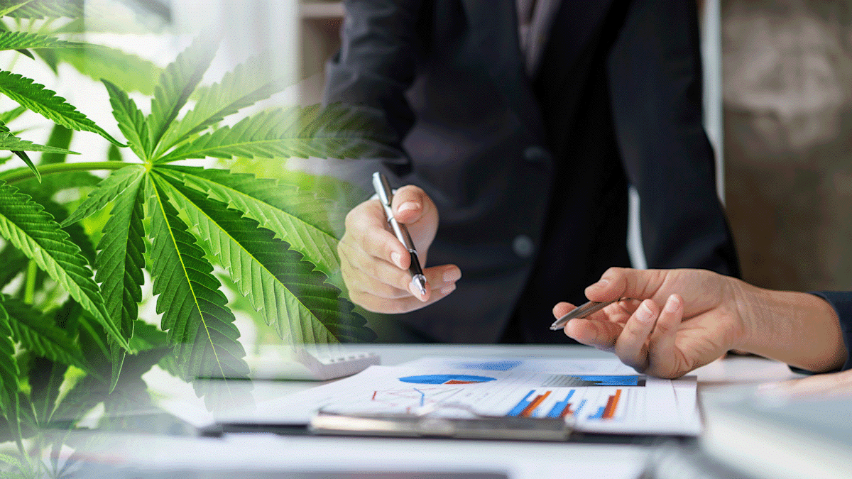 Top 3 Cannabis REITs for March 2025: Strong Dividends and Market Expansion