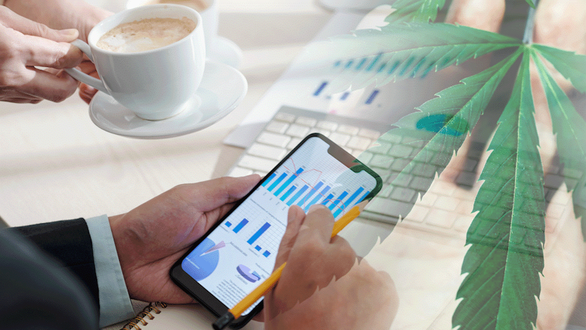 Top Ancillary Cannabis Companies to Watch in October 2024