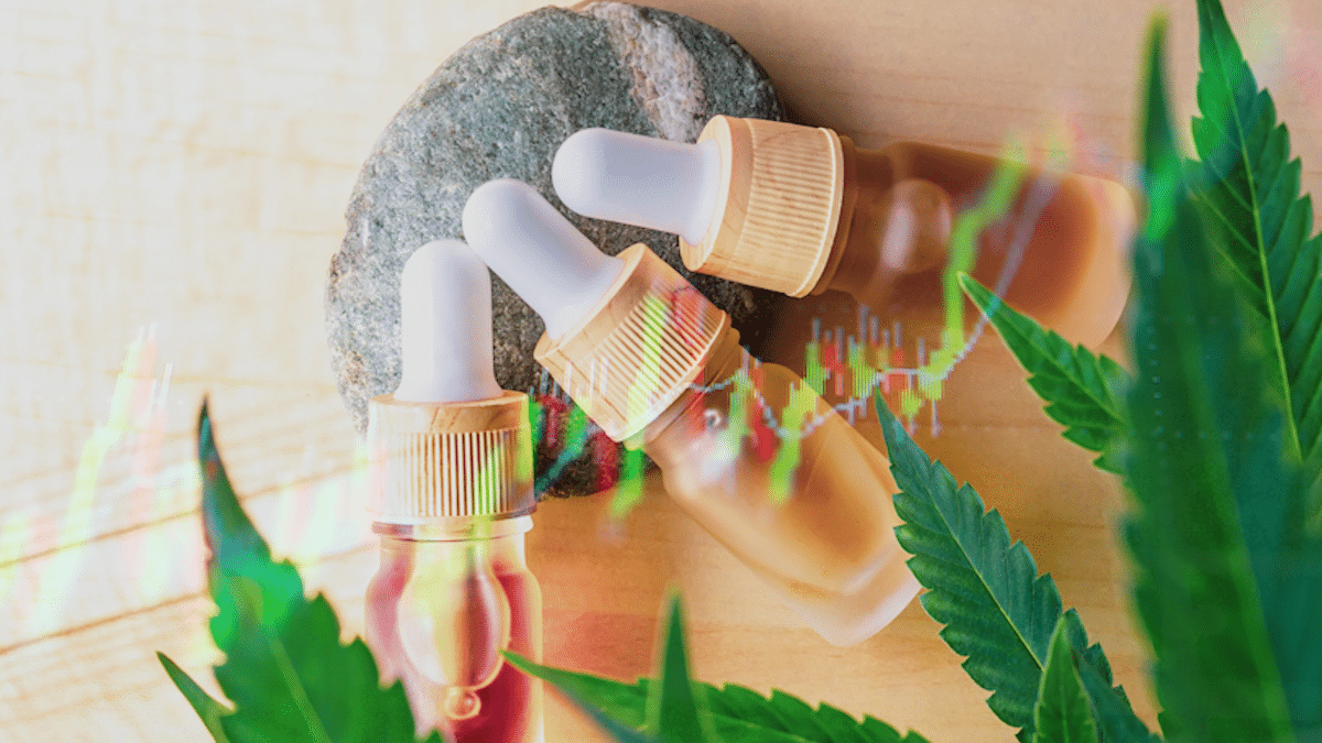 Best Cannabis Stocks To Watch Now In 2025