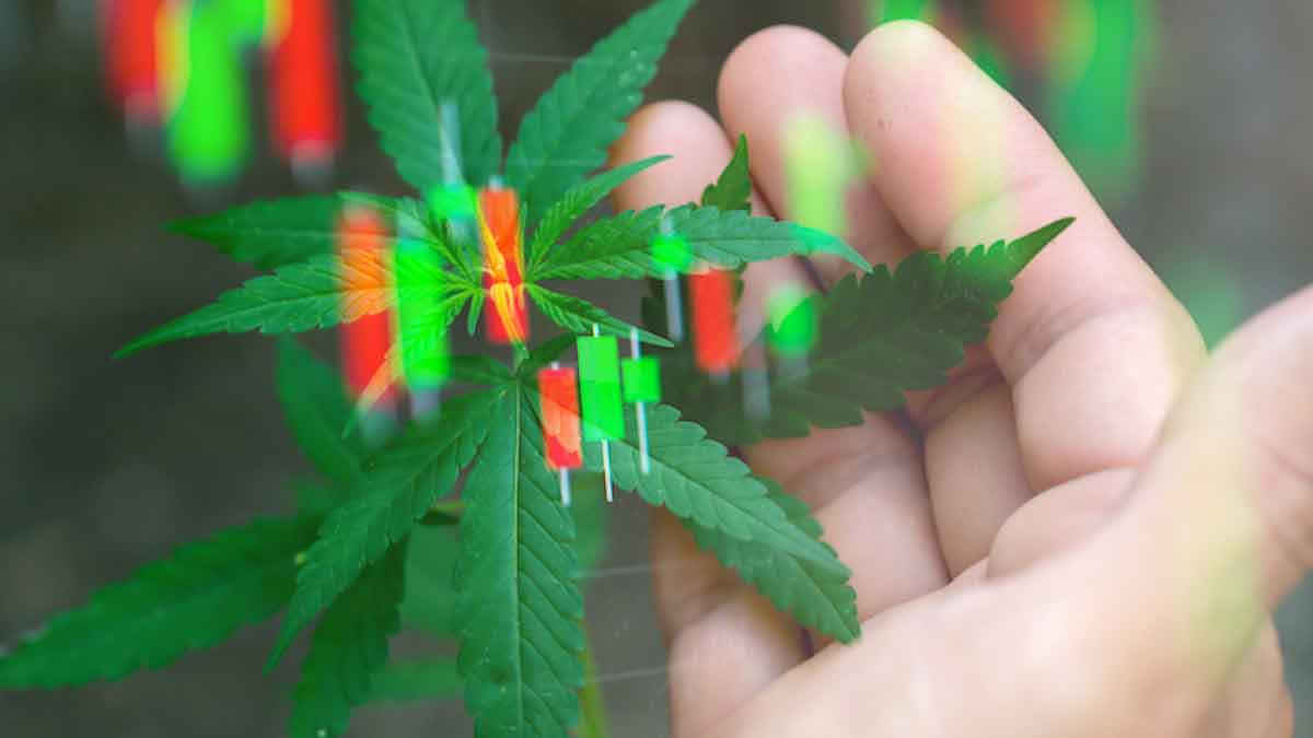 Top US Marijuana Stocks to Watch in August 2024