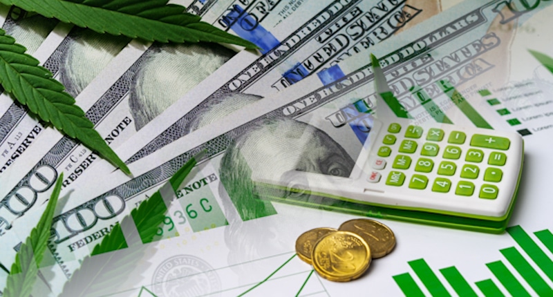 Top U.S. Cannabis Stocks to Watch This Month: February 2025 Picks