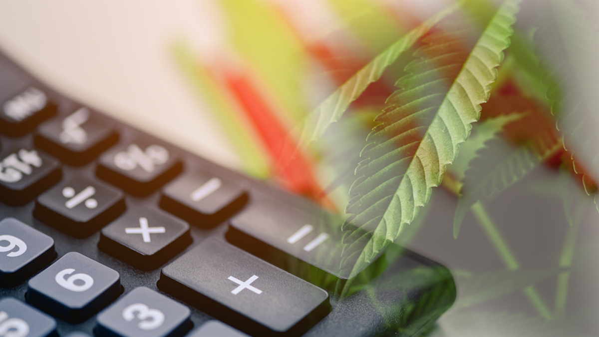 Marijuana Stocks For Your 2025 List