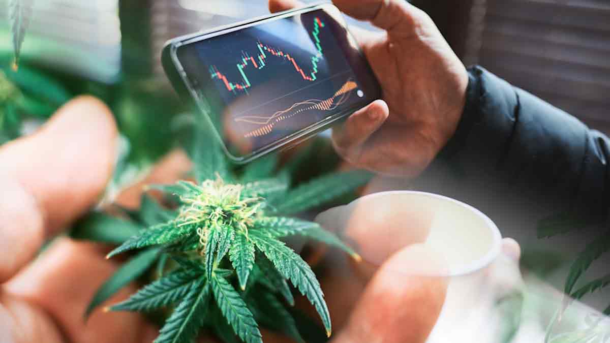 Top U.S. Marijuana Penny Stocks to Watch in November for High-Growth Potential