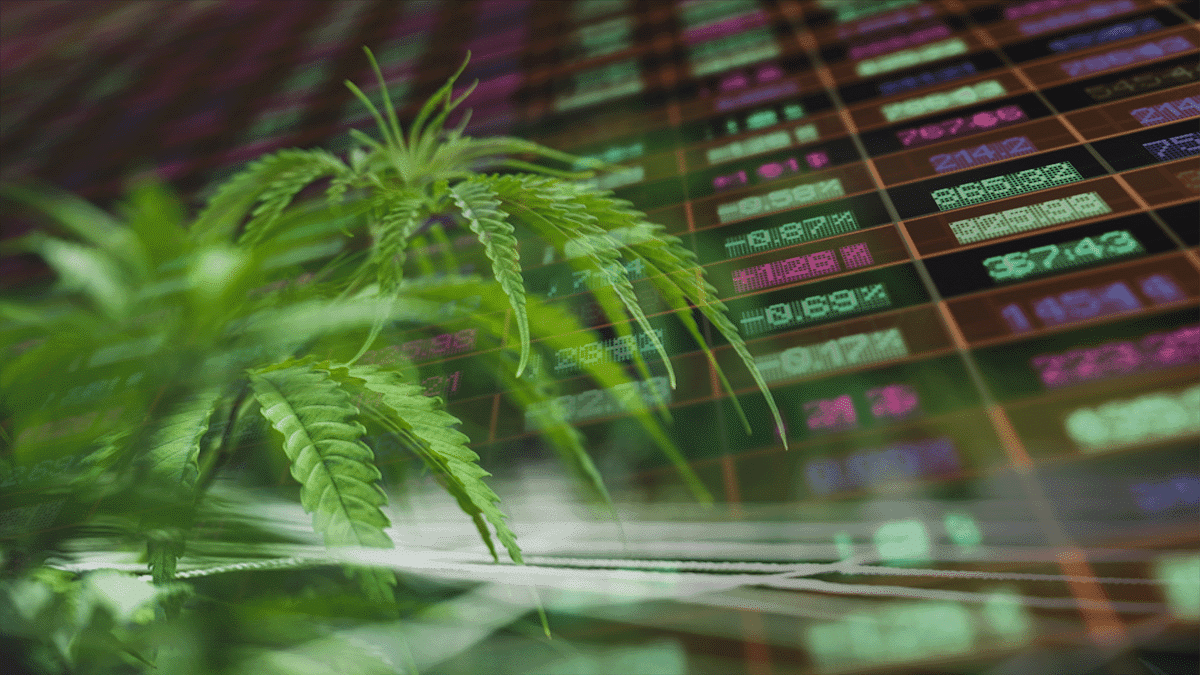 Marijuana Penny Stocks with Big Potential in March 2025