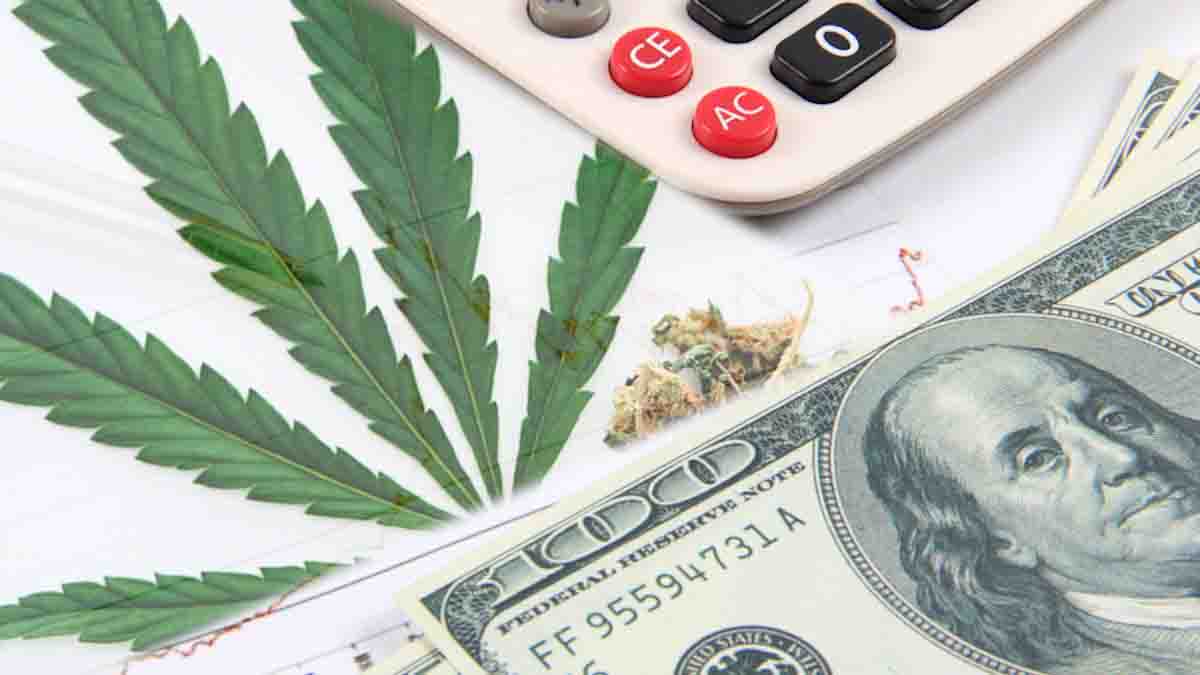 Top Marijuana Stocks to Watch Before October: High-Growth Opportunities