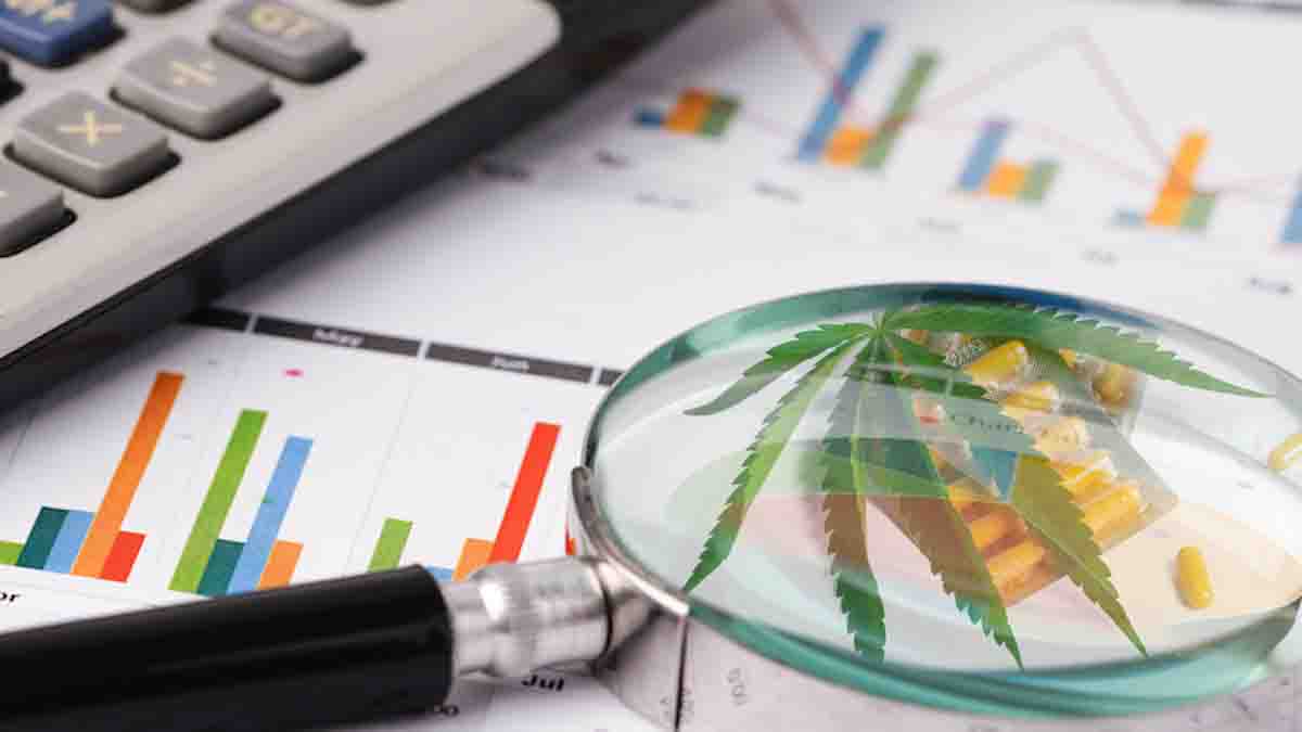 May 2024 Watchlist: Top Canadian Cannabis Stocks Heating Up the Market