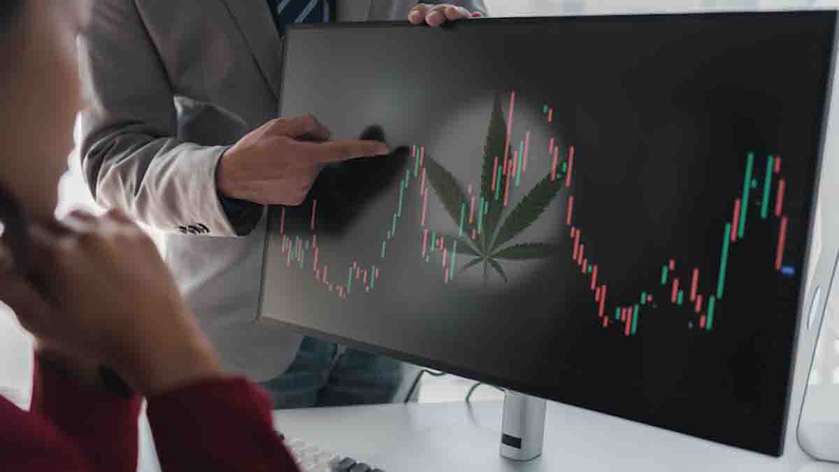 Best Canadian Cannabis Stocks to Watch Right Now