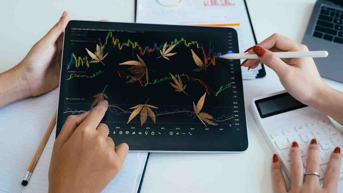Best Cannabis Stocks To Watch In 2025